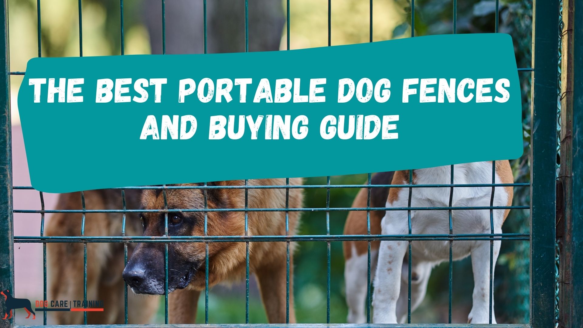 The Best Portable Dog Fences and Buying Guide