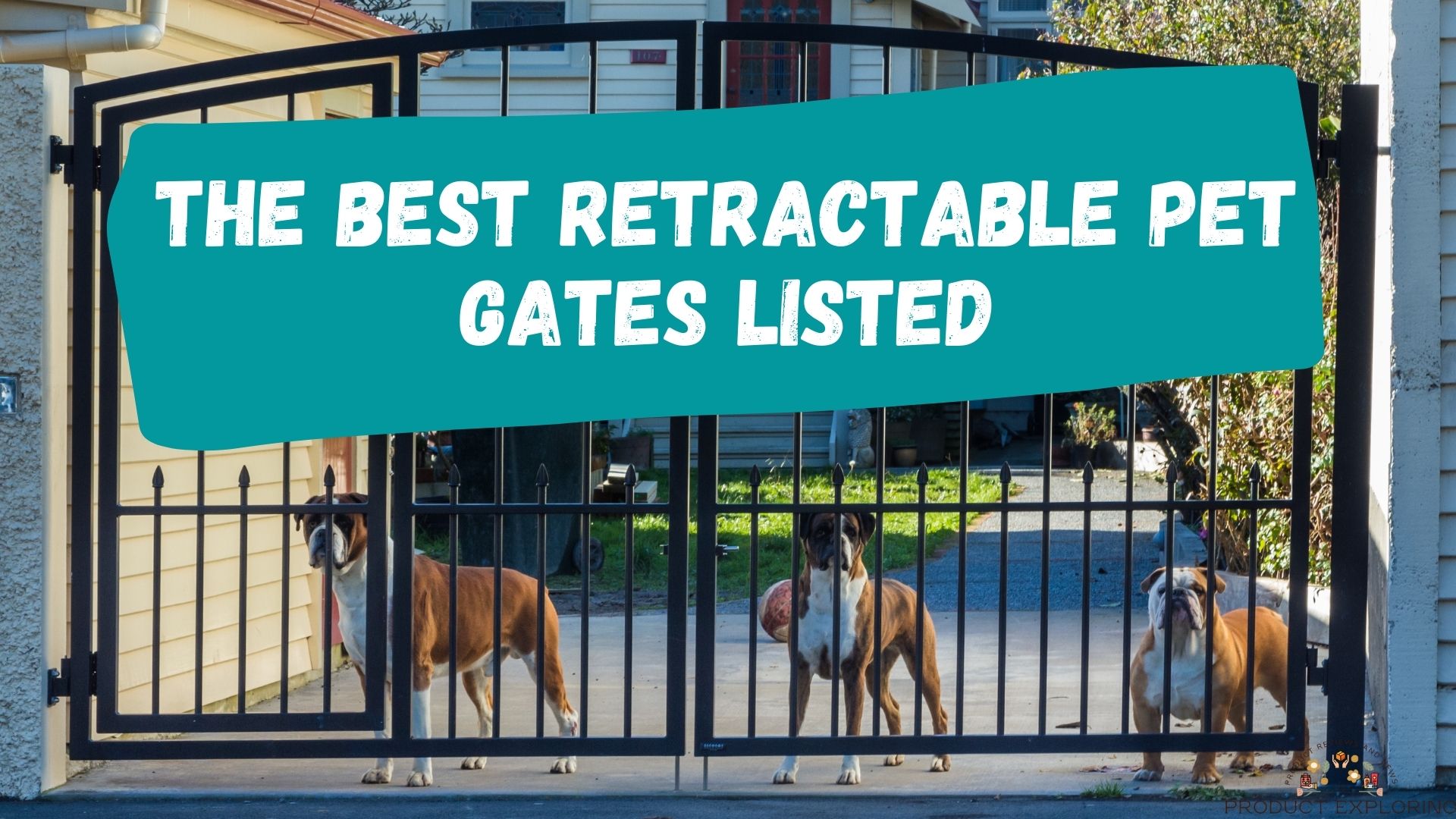 The Best Retractable Pet Gates Listed and Buying Guide