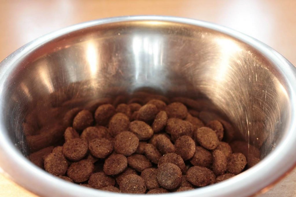 The Right Food for Your Dog!