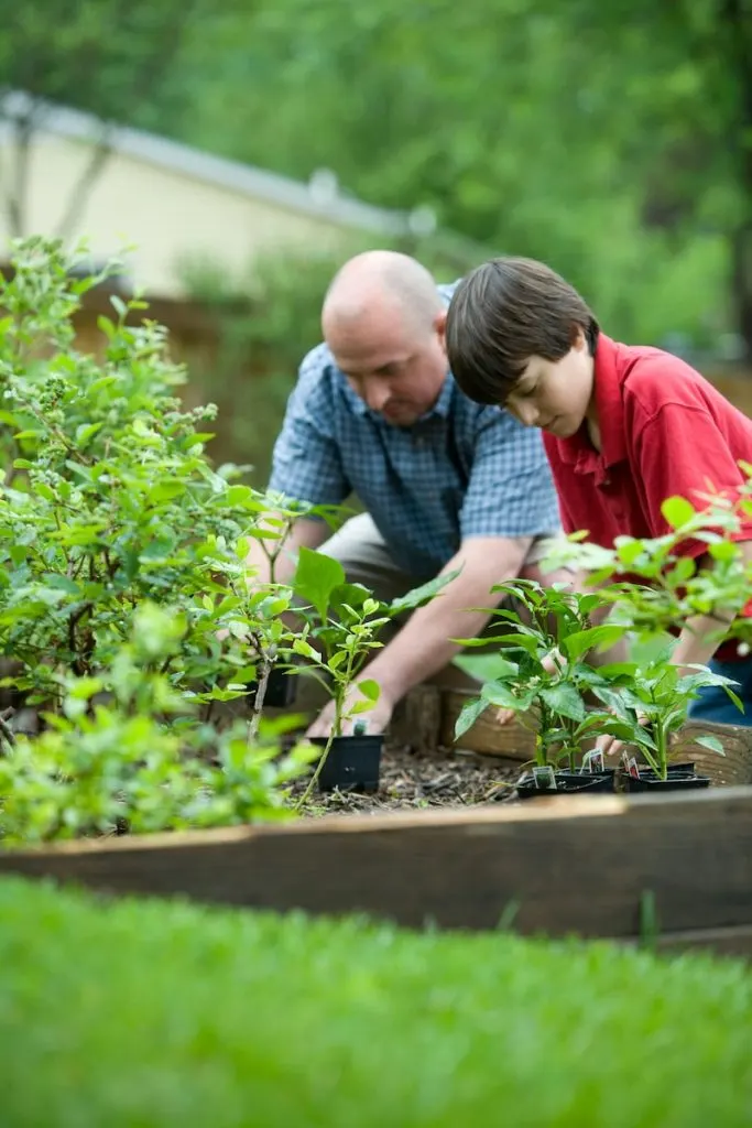 gardening homepage